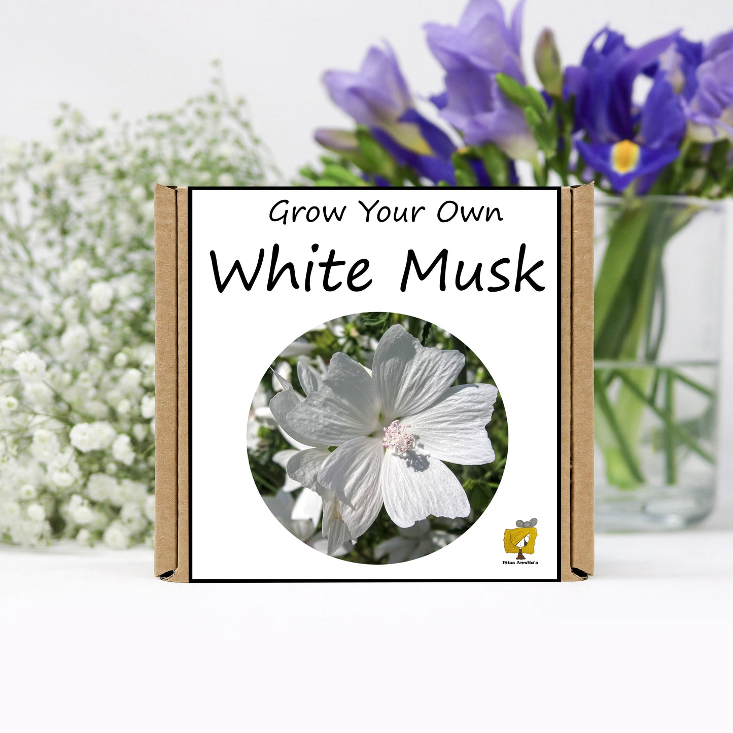 Grow Your Own White Musk From Seeds