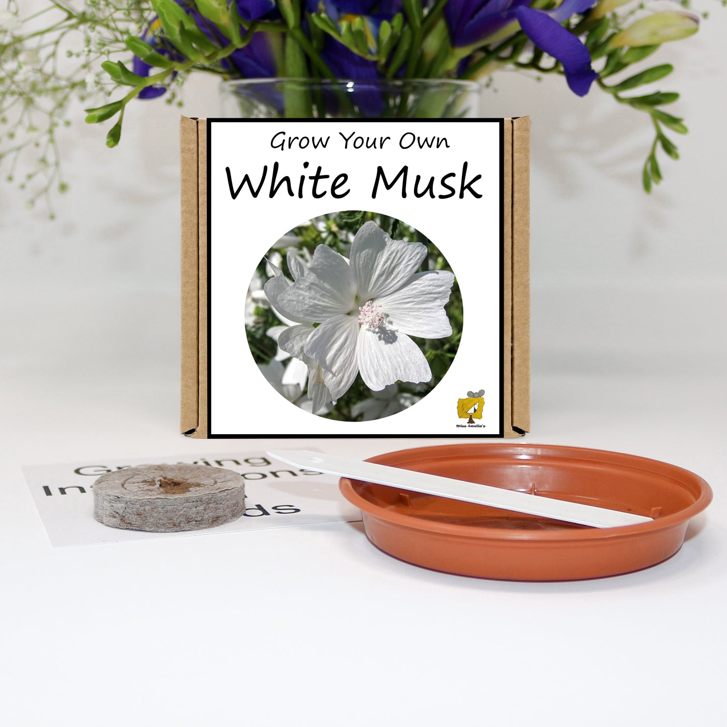 Grow Your Own White Musk From Seeds