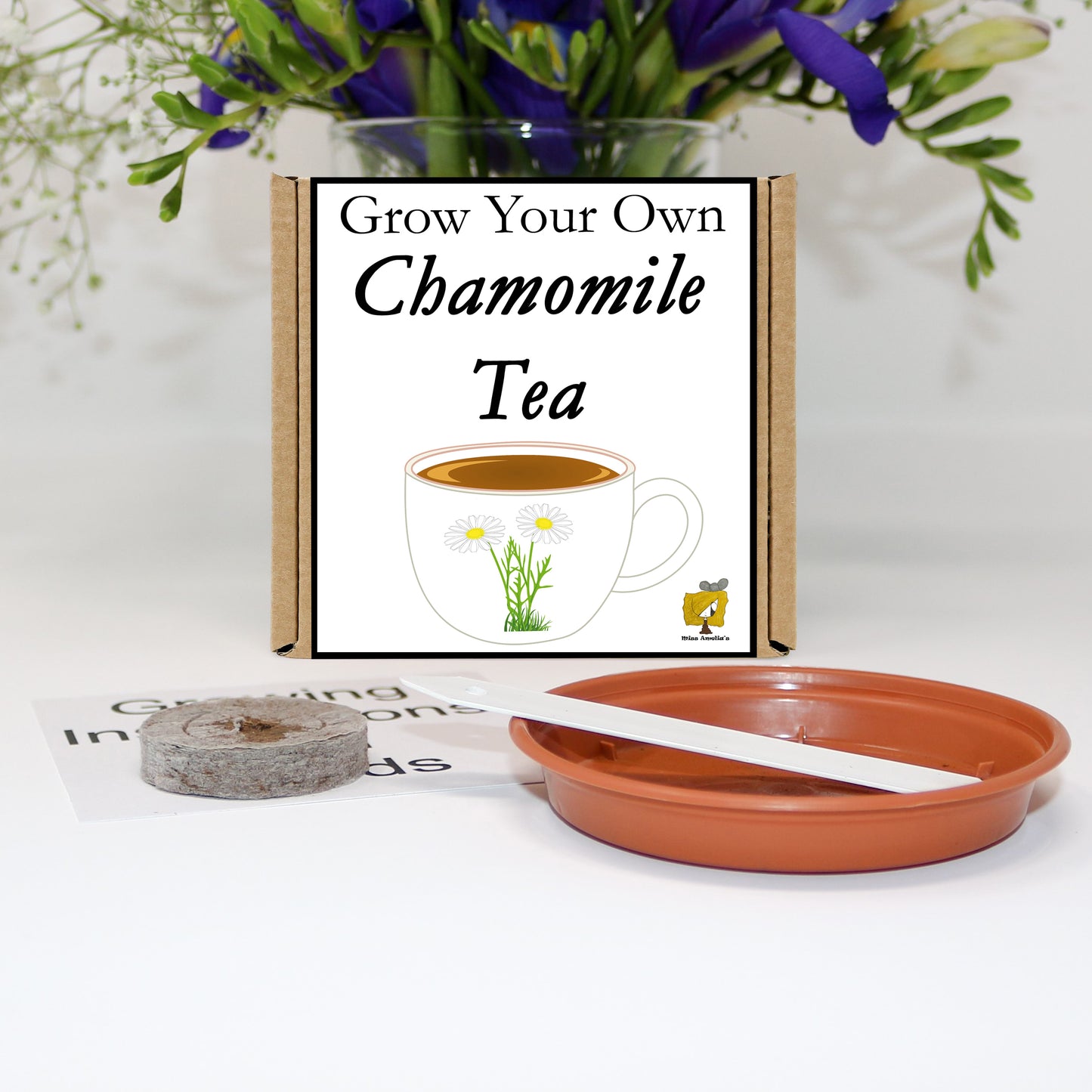 Grow Your Own Chamomile Tea From Seeds