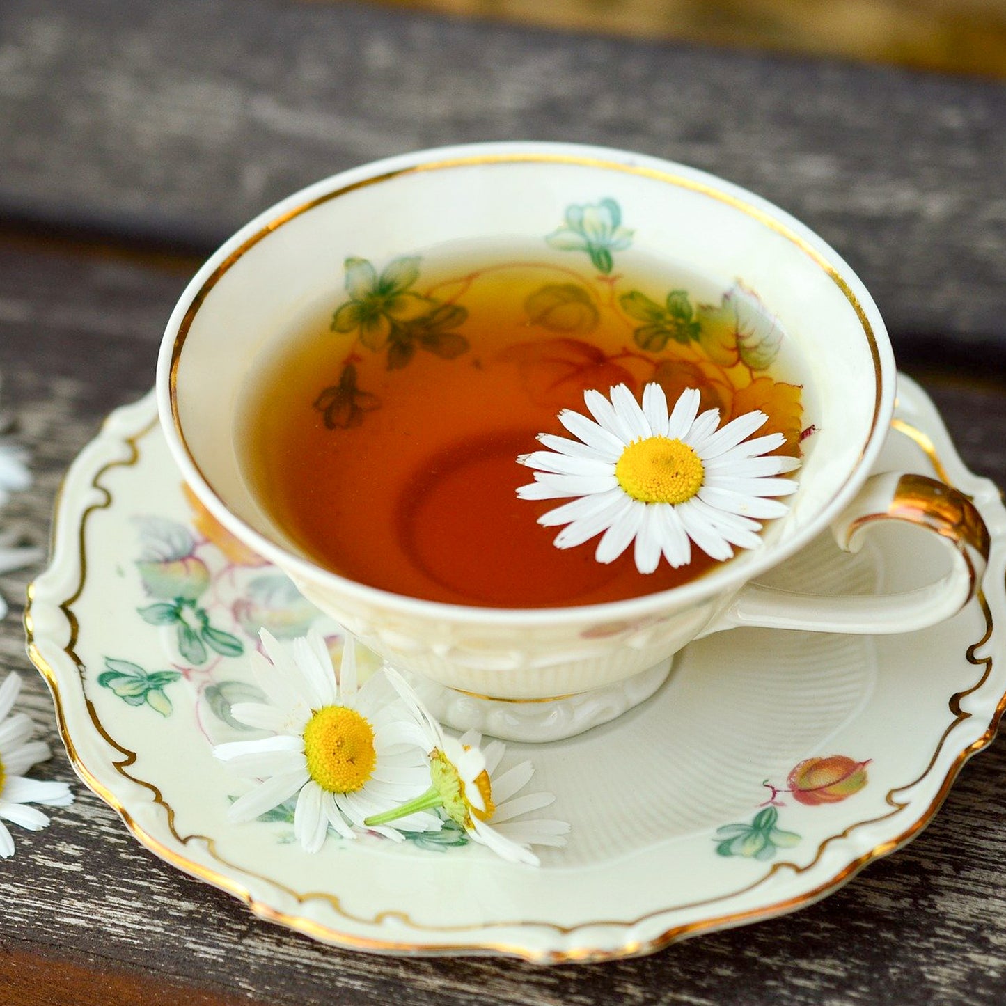 Grow Your Own Chamomile Tea From Seeds