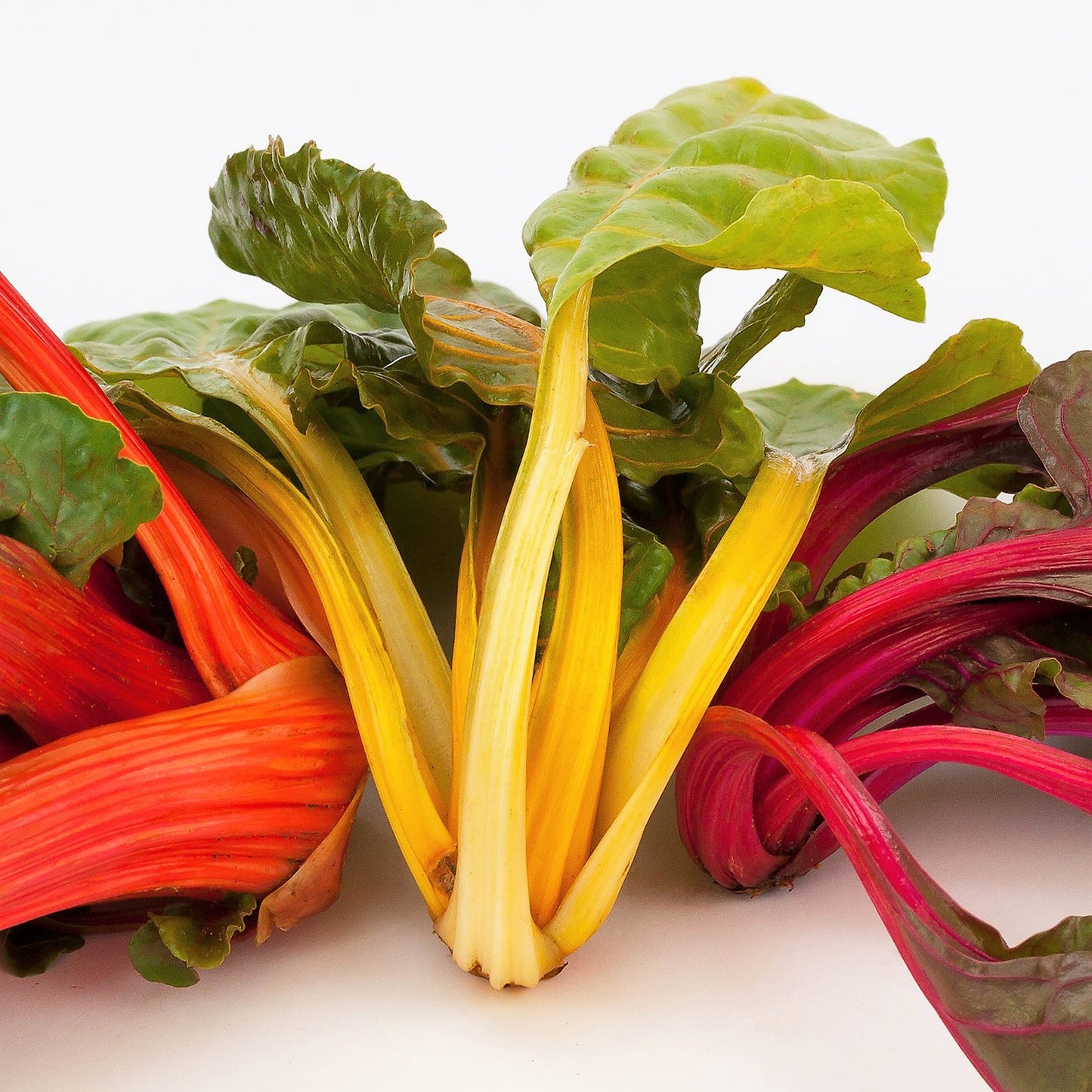Grow Your Own Chard. Veg Growing Kit