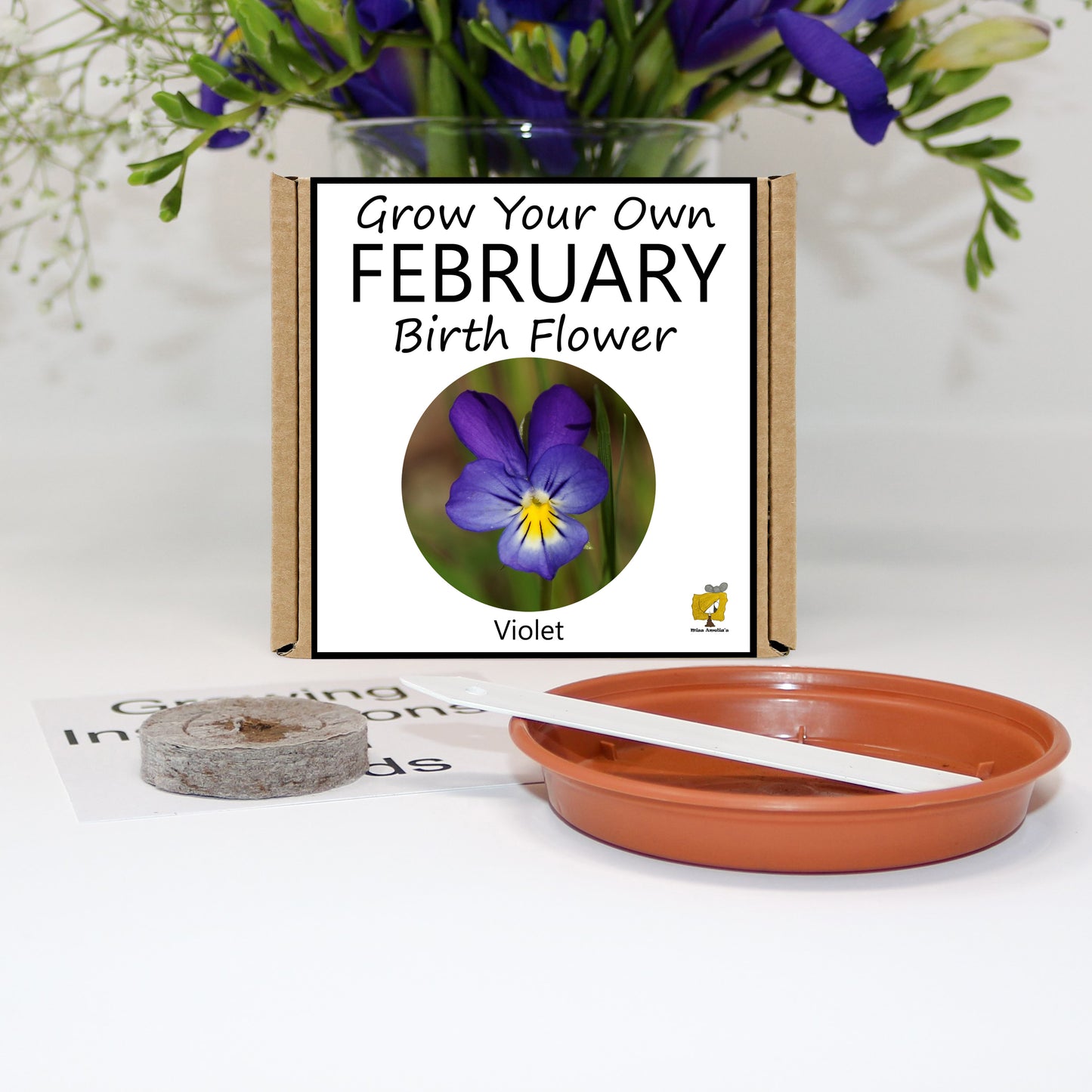 February Birth Flower Growing Kit From Seeds
