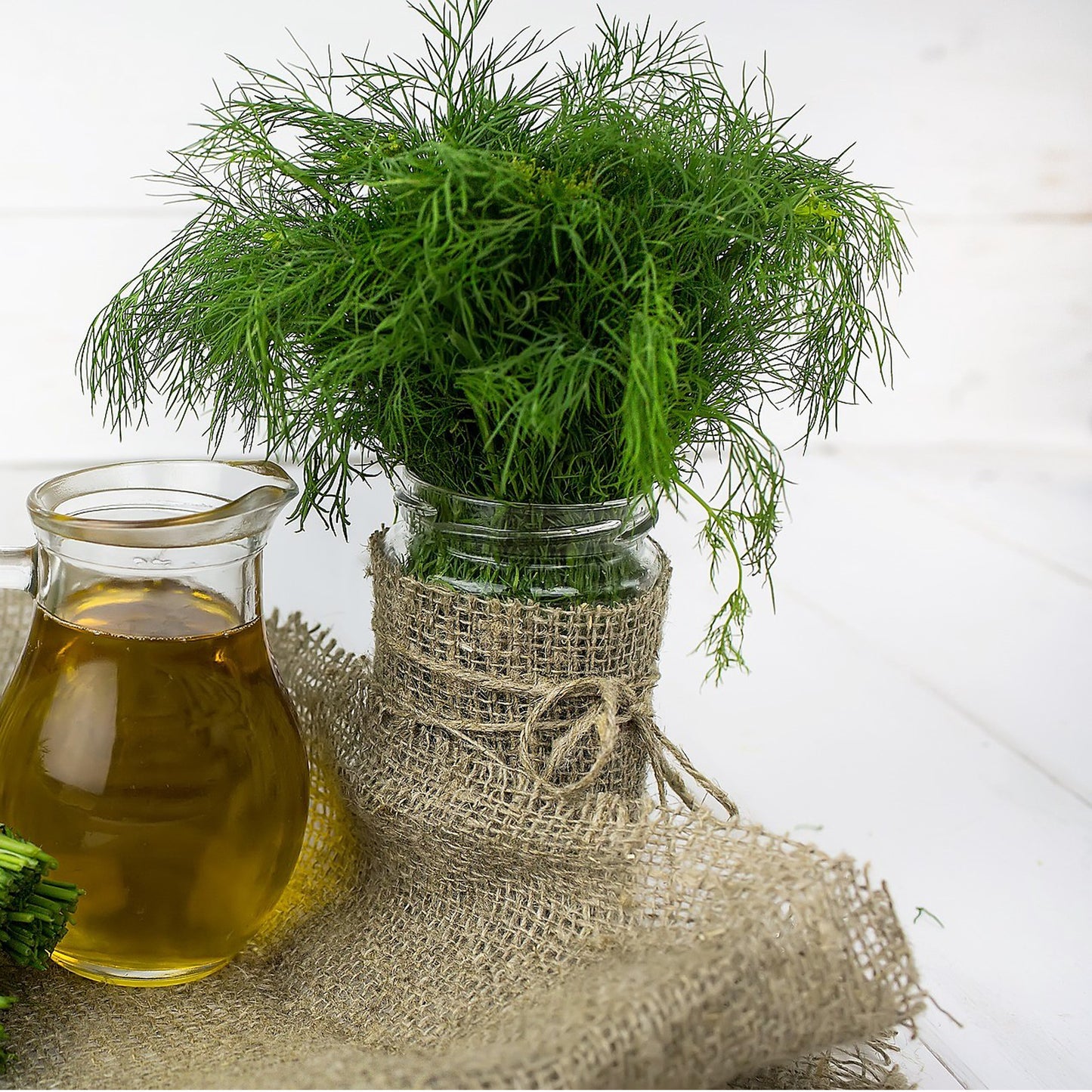 Grow Your Own Herbs. Dill Growing Kit
