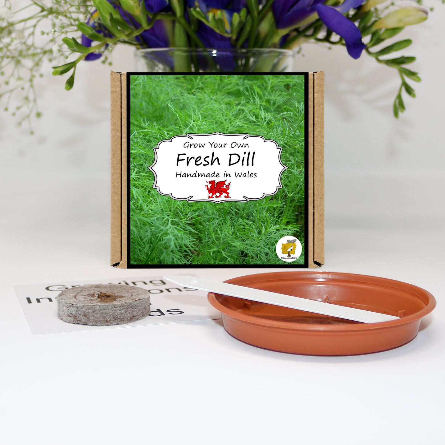 Grow Your Own Herbs. Dill Growing Kit