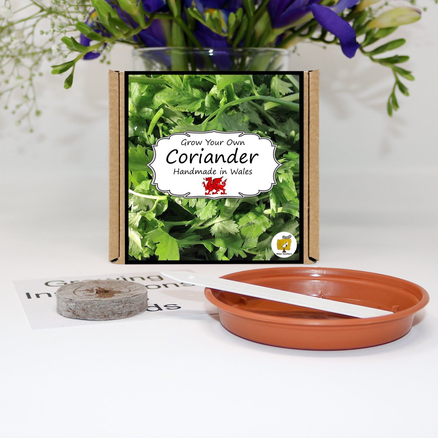 Grow Your Own Herbs. Coriander Growing Kit