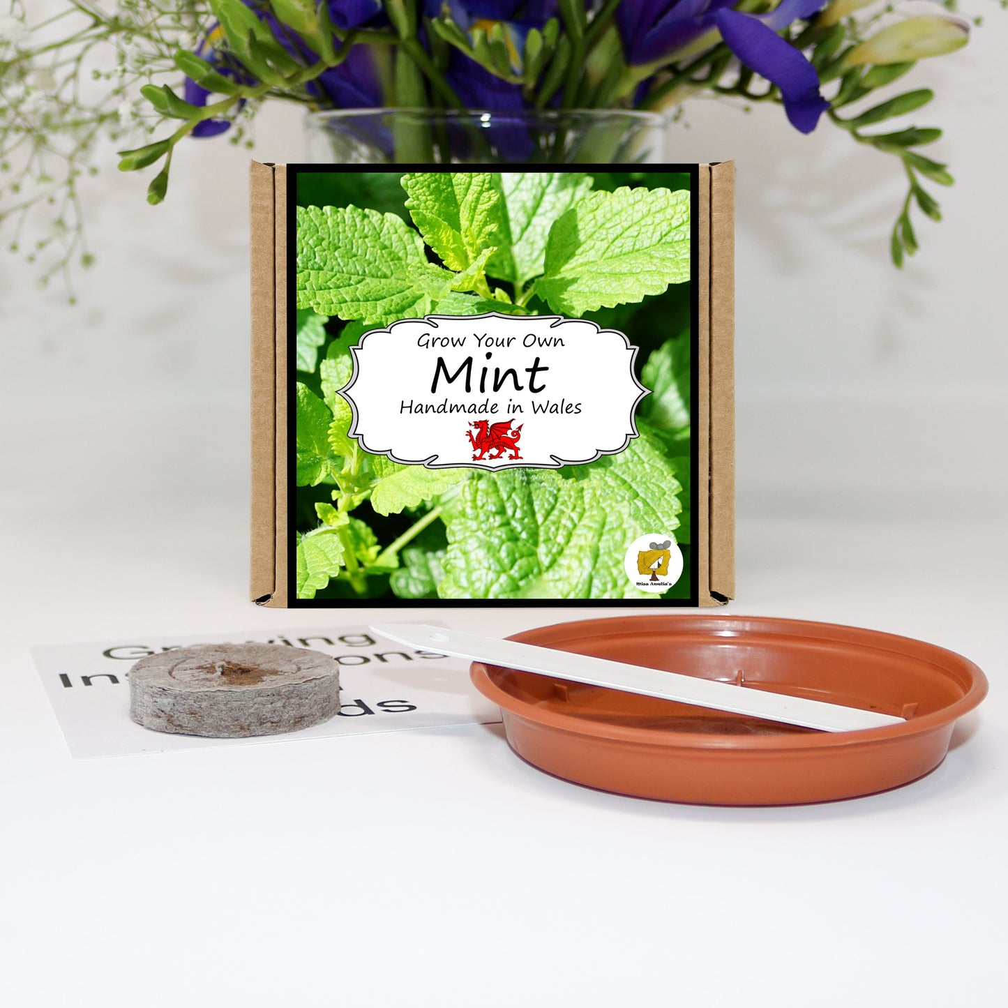 Grow Your Own Herbs. Mint Growing Kit