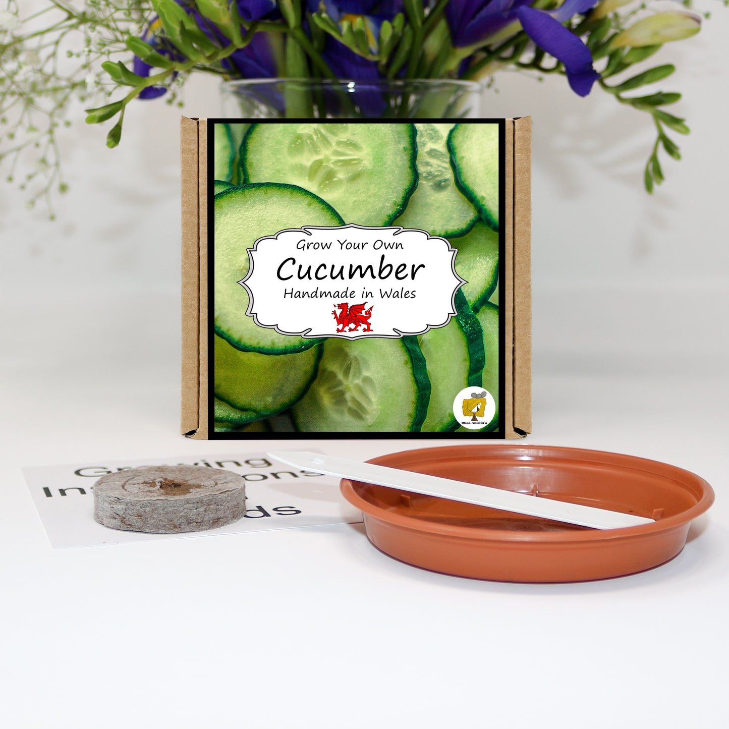 Grow Your Own Salad. Cucumber Growing Kit