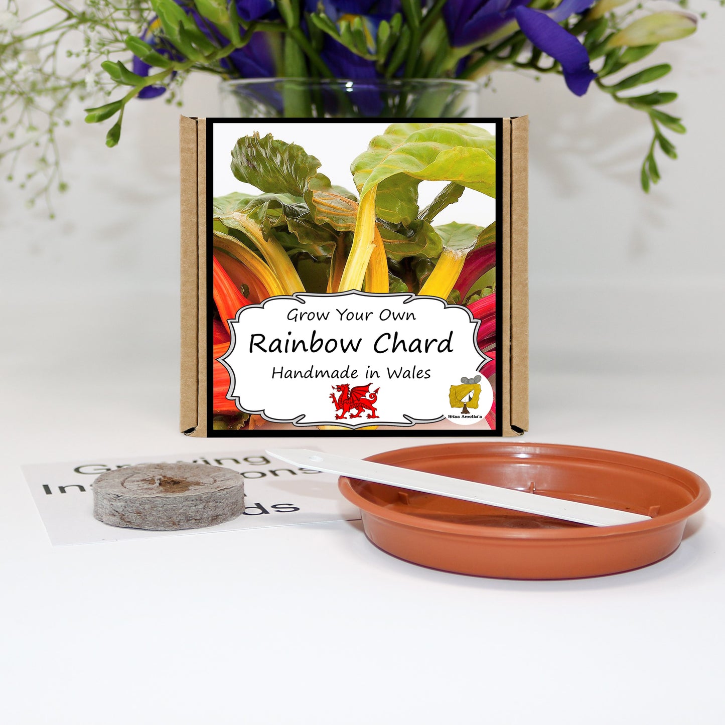 Grow Your Own Chard. Veg Growing Kit
