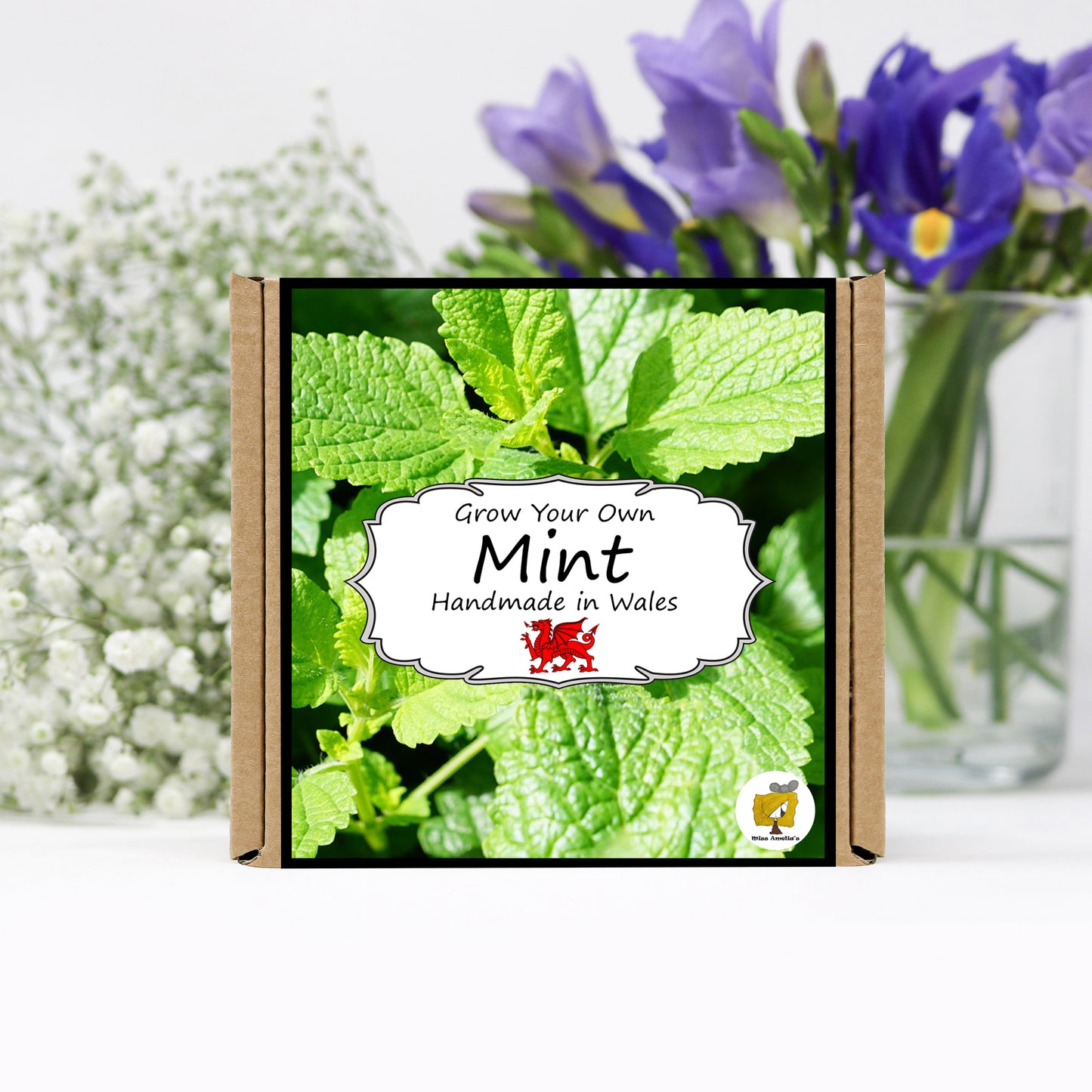 Grow Your Own Herbs. Mint Growing Kit