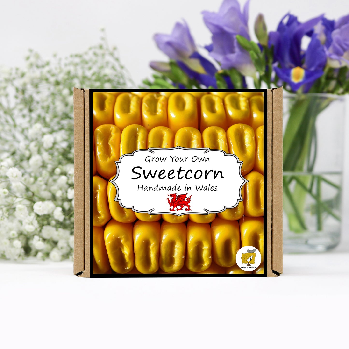 Grow Your Own Sweetcorn. Veg Growing Kit.