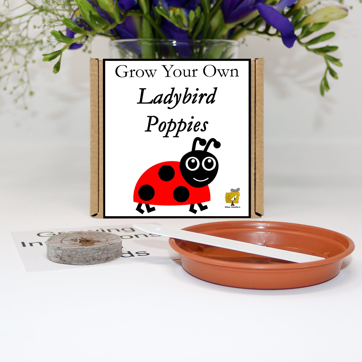 Grow Your Own Ladybird Poppy From Seeds