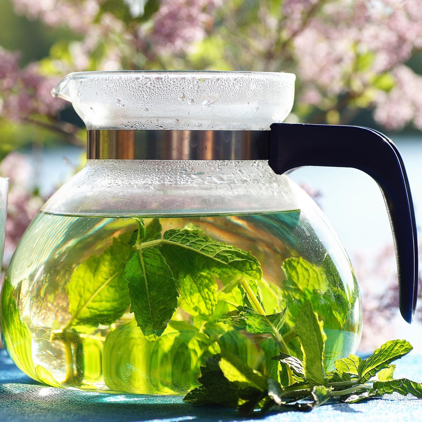 Grow Your Own Herbs. Mint Growing Kit
