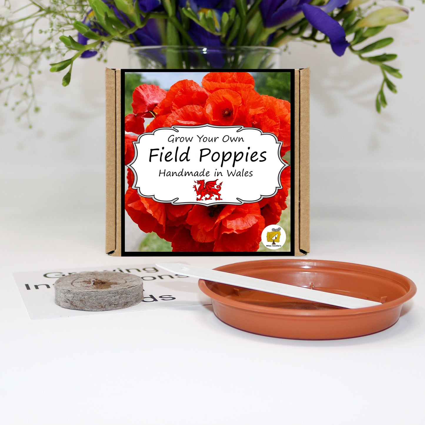Grow Your Own Remembrance Poppies. Plant Growing Kit