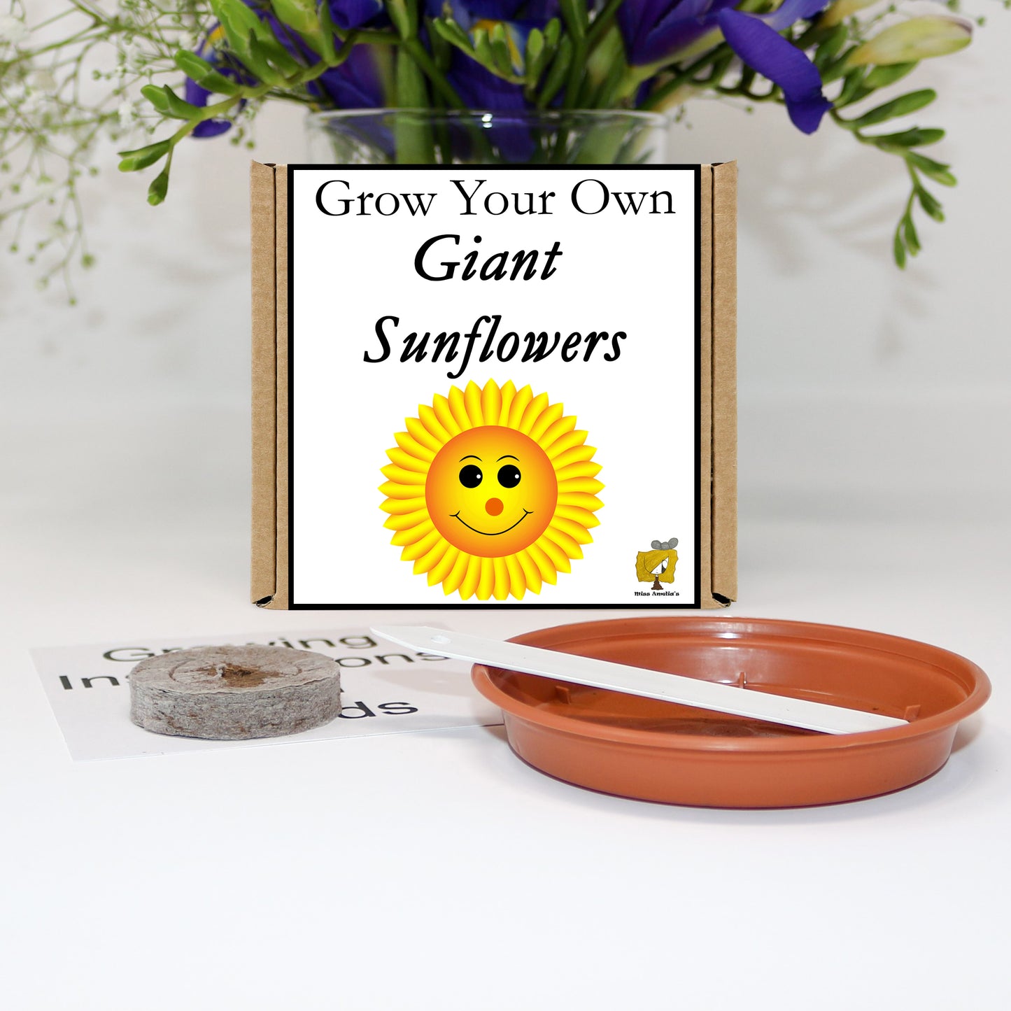Grow Your Own Giant Sunflowers From Seeds