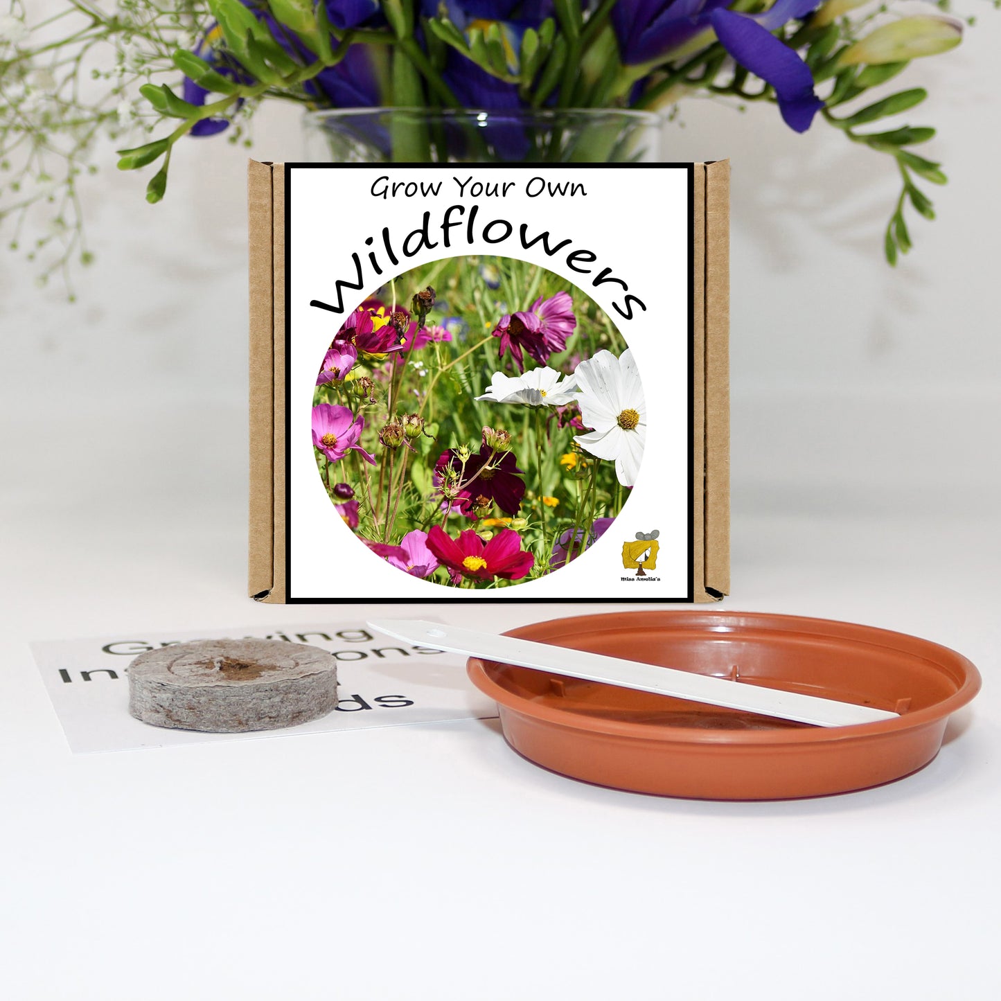Grow Your Own Wildflowers From Seeds