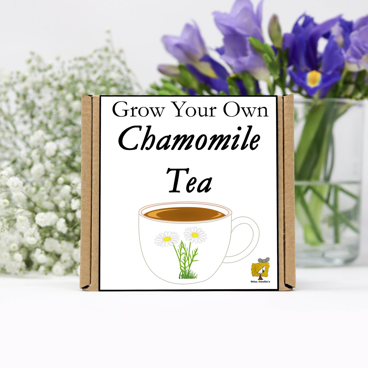 Grow Your Own Chamomile Tea From Seeds