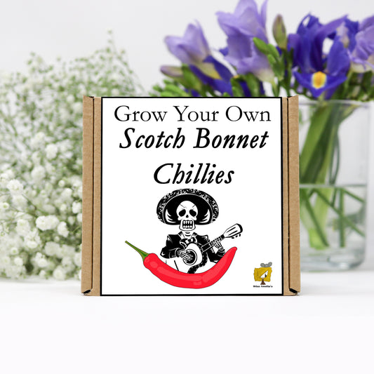 Grow Your Own Scotch Bonnet From Seeds