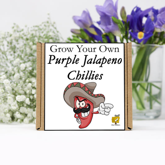 Grow Your Own Purple Jalapeno Chilli From Seeds
