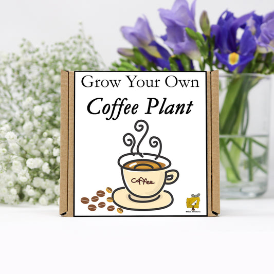Grow Your Own Coffee From Seeds