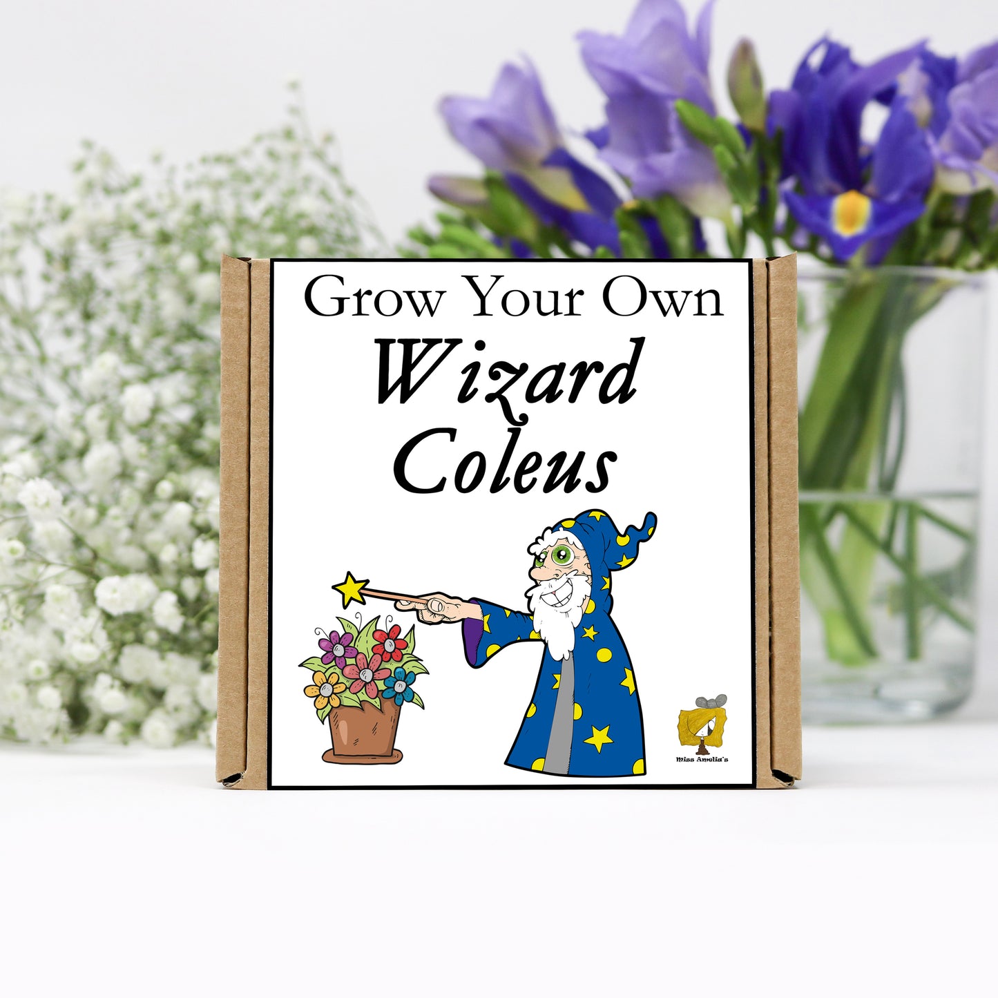 Grow Your Own Wizard Coleus From Seeds