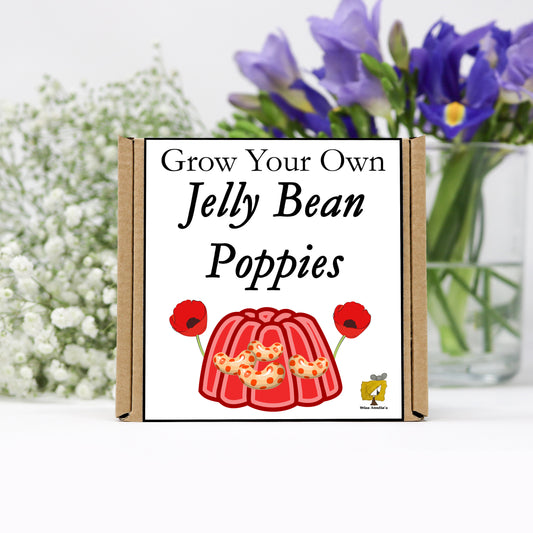 Grow Your Own Jelly Bean Poppies From Seeds