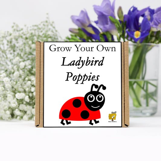 Grow Your Own Ladybird Poppy From Seeds