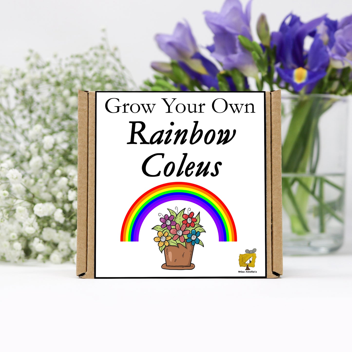 Grow Your Own Rainbow Coleus From Seeds