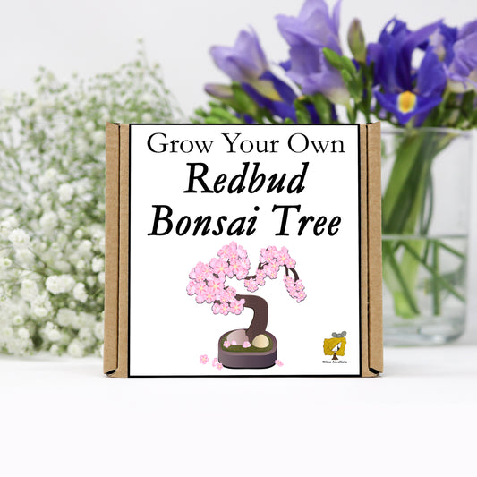 Grow Your Own Redbud Bonsai Tree From Seeds