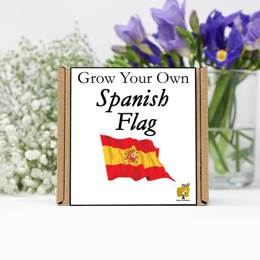 Grow Your Own Spanish Flag From Seeds