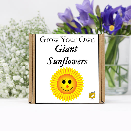 Grow Your Own Giant Sunflowers From Seeds