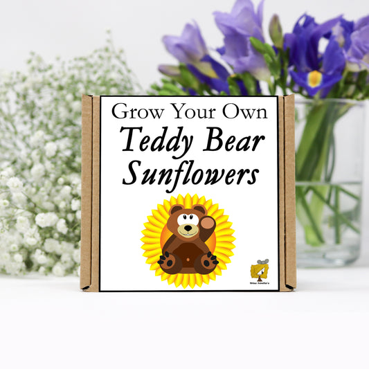 Grow Your Own Teddy Bear Sunflower From Seeds