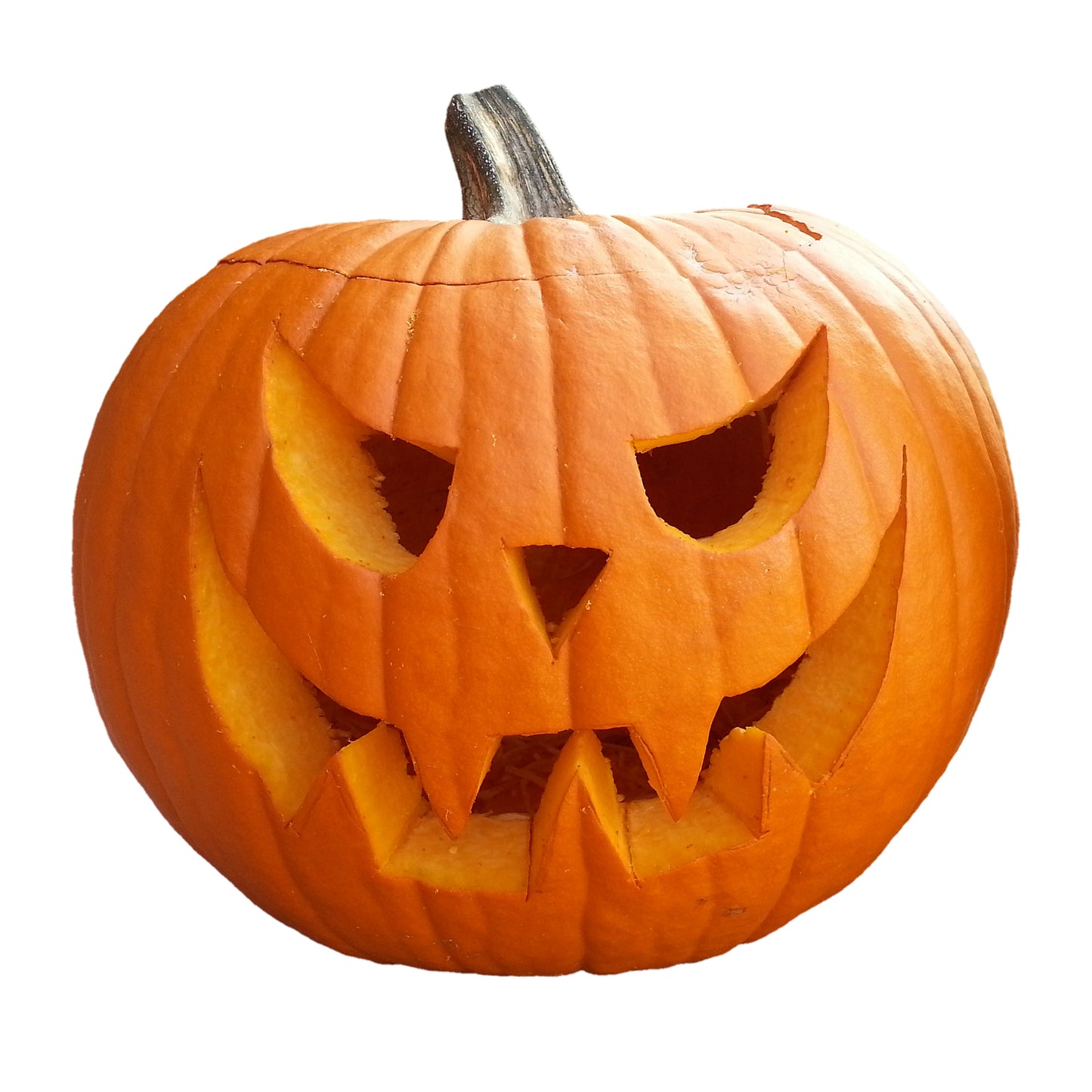 Grow Your Own Halloween Pumpkin From Seeds