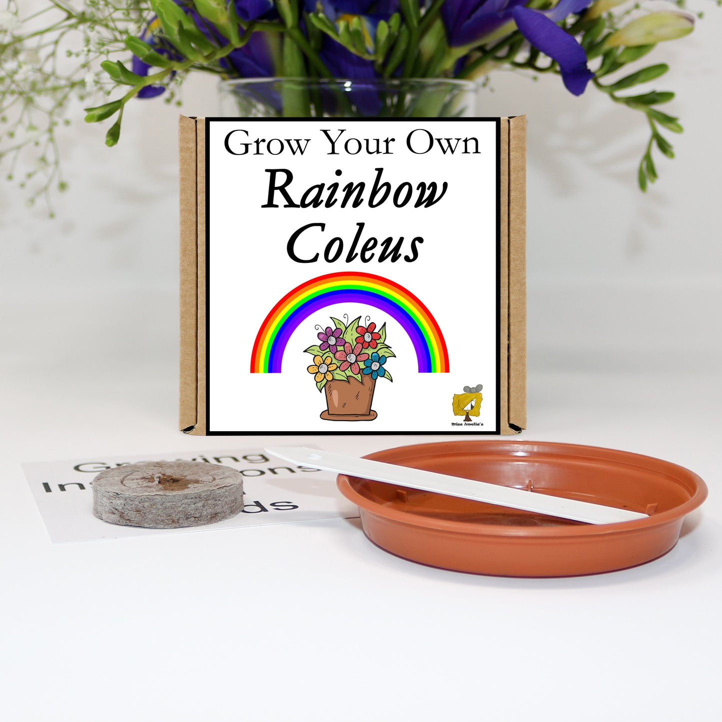 Grow Your Own Rainbow Coleus From Seeds