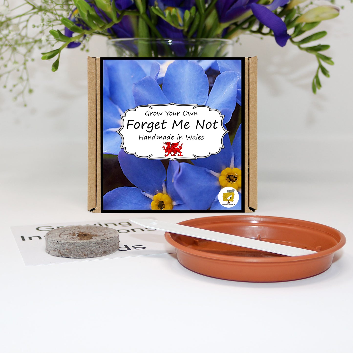 Grow Your Own Forget Me Not. Plant Growing Kit