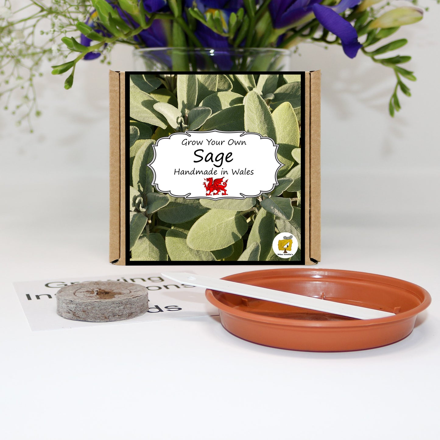 Grow Your Own Herbs. Sage Growing Kit