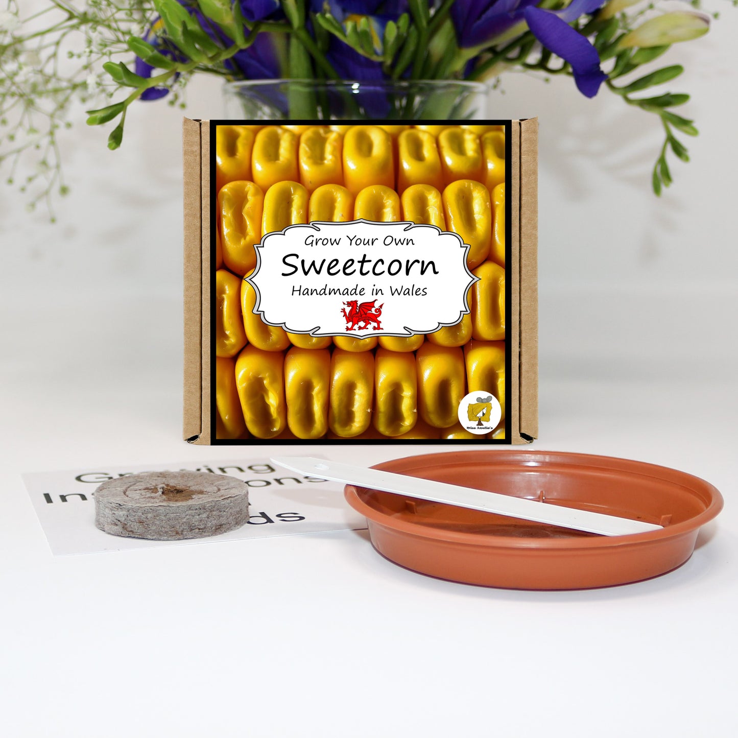 Grow Your Own Sweetcorn. Veg Growing Kit.