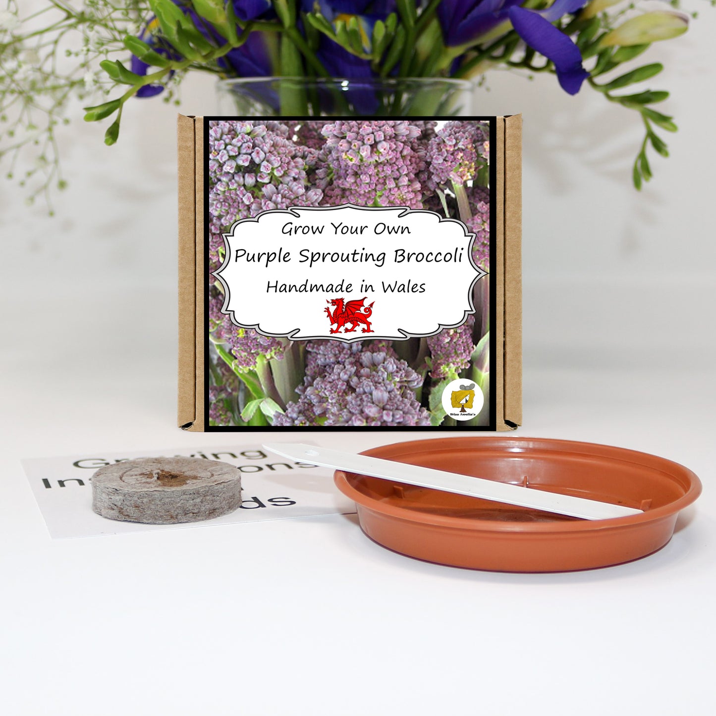 Grow Your Own Broccoli. Veg Growing Kit
