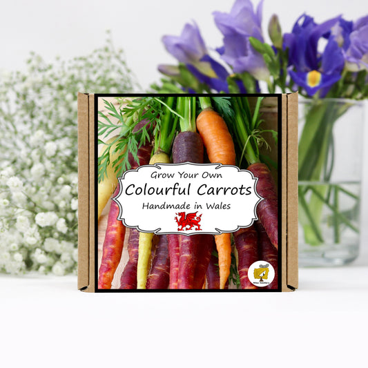 Grow Your Own Carrots. Veg Growing Kit