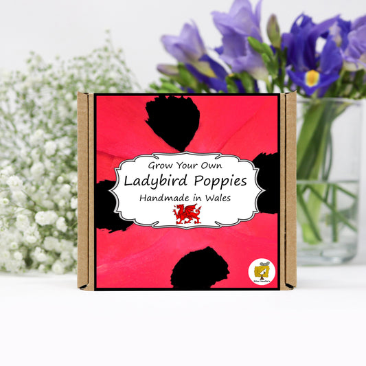 Grow Your Own Ladybird Poppies. Plant Growing Kit