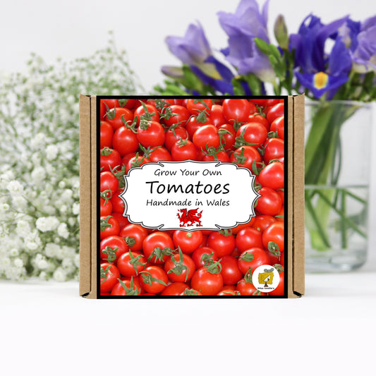 Grow Your Own Tomatoes. Salad Growing Kit