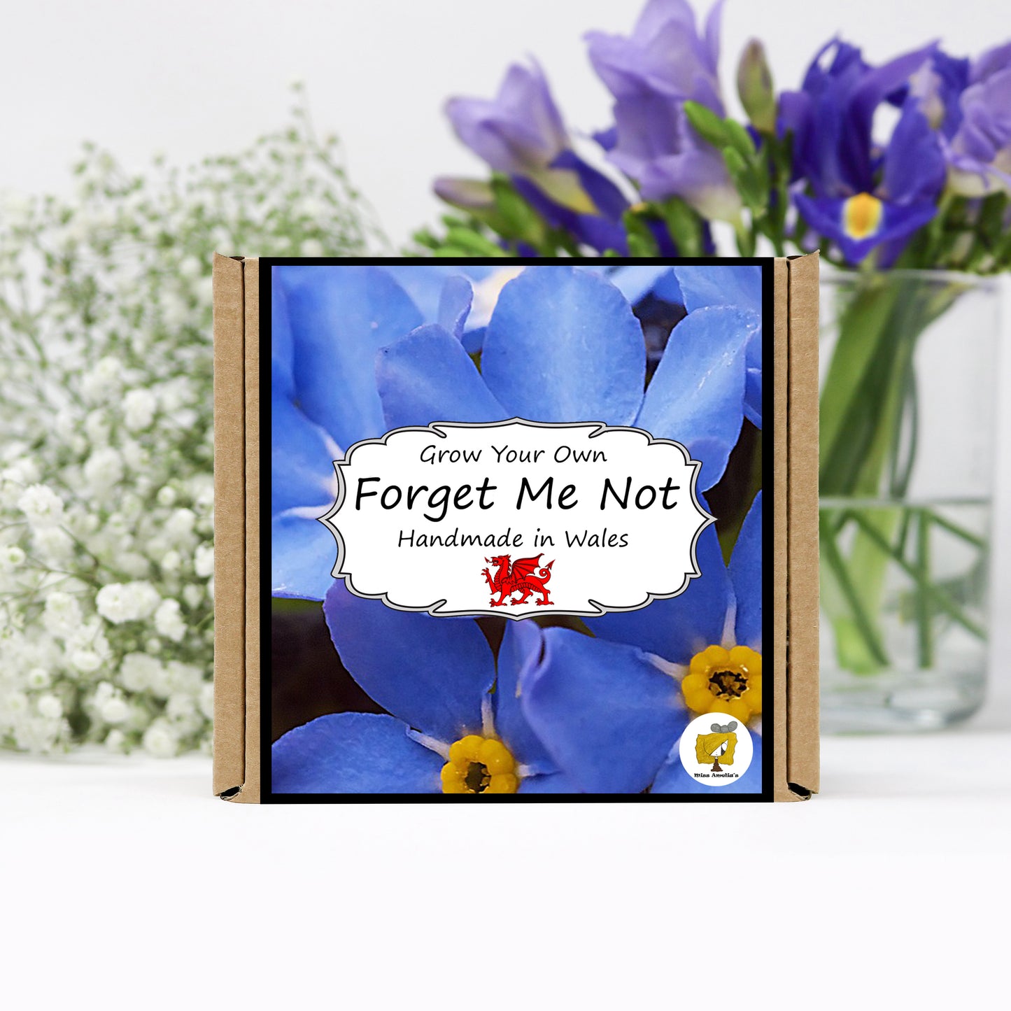 Grow Your Own Forget Me Not. Plant Growing Kit