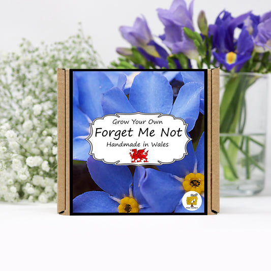 Grow Your Own Forget Me Not. Plant Growing Kit