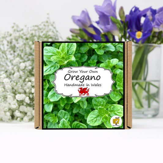 Grow Your Own Herbs. Oregano Growing Kit