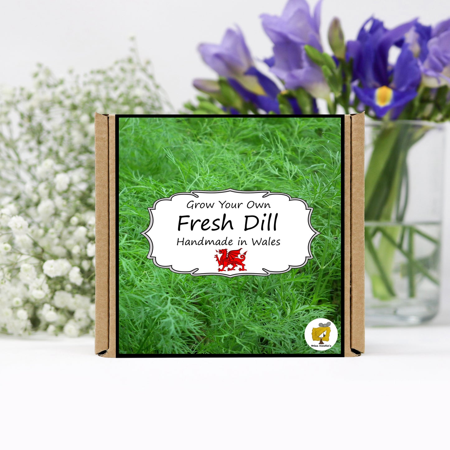 Grow Your Own Herbs. Dill Growing Kit