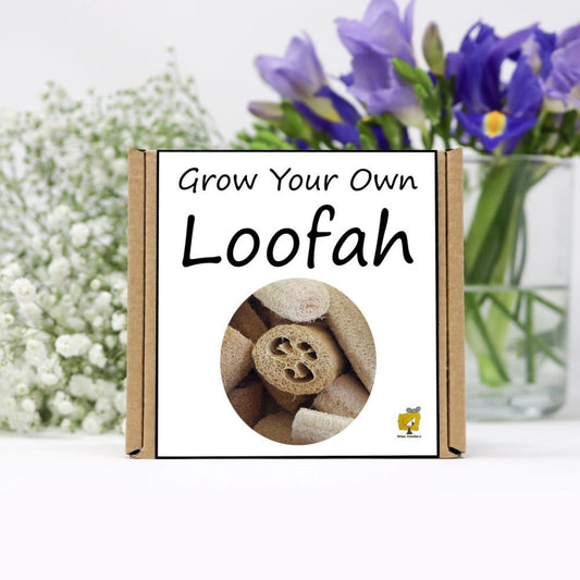 Grow Your Own Loofah From Seeds