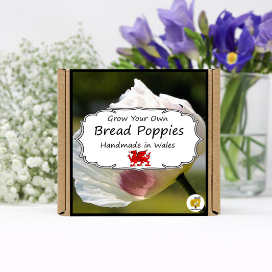 Grow Your Own Bread Poppies. Plant Growing Kit
