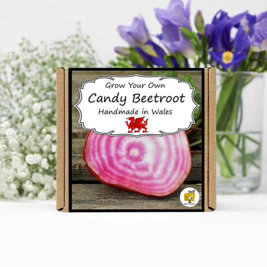 Grow Your Own Beetroot. Veg Growing Kit