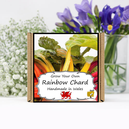 Grow Your Own Chard. Veg Growing Kit