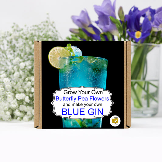 Grow Your Own Butterfly Pea Flowers And Make Your Own Blue Gin