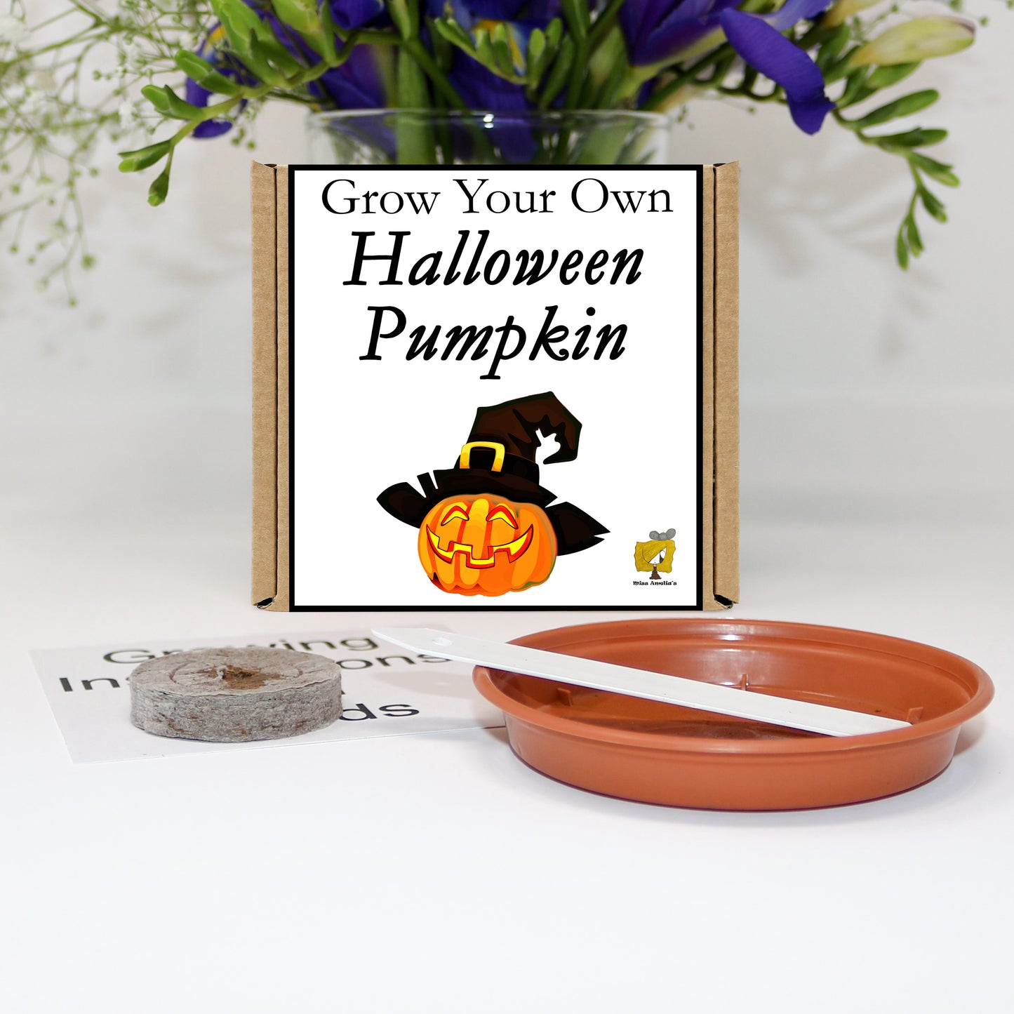 Grow Your Own Halloween Pumpkin From Seeds